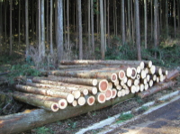 販売部門